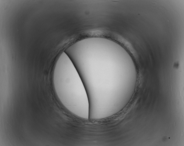 X0000102220161200807250754