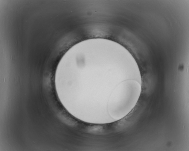 X0000102220162200807250754