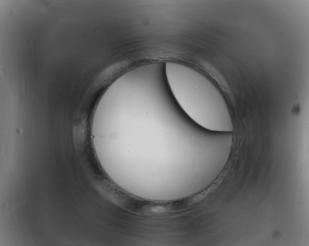 X0000102220163200807250754