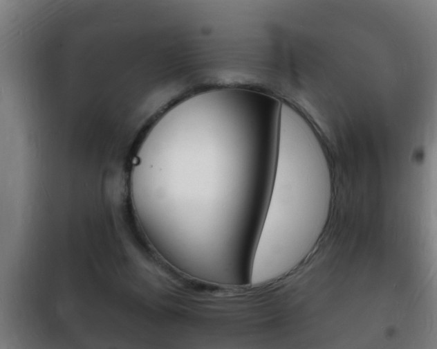 X0000102220164200807250754