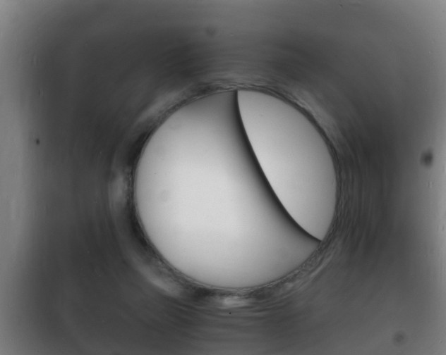 X0000102220165200807250754