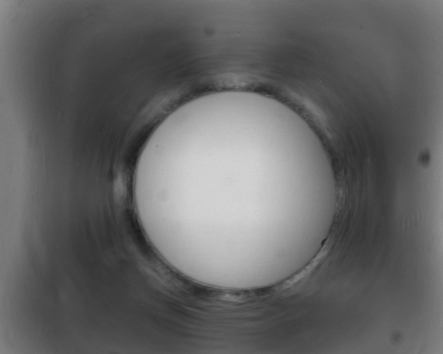 X0000102220166200807250754