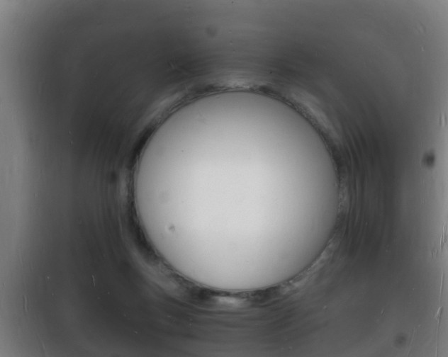 X0000102220167200807250754