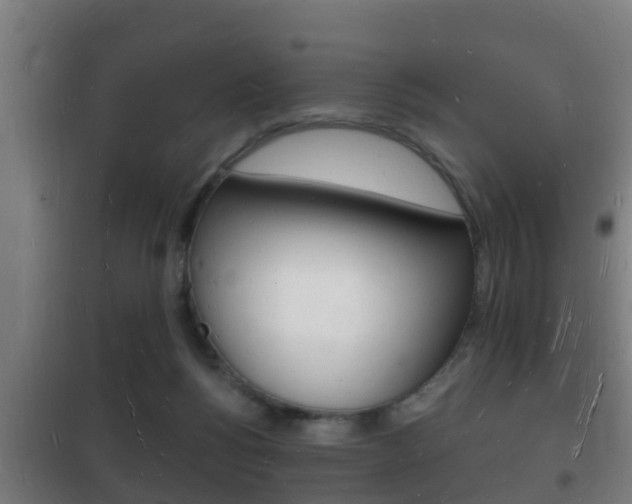 X0000102220168200807250754