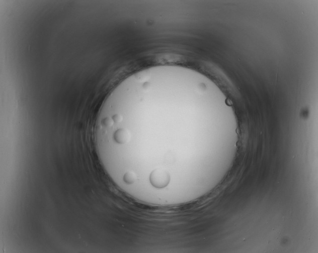 X0000102220169200807250754