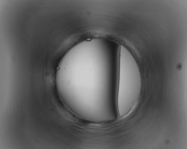 X0000102220170200807250754