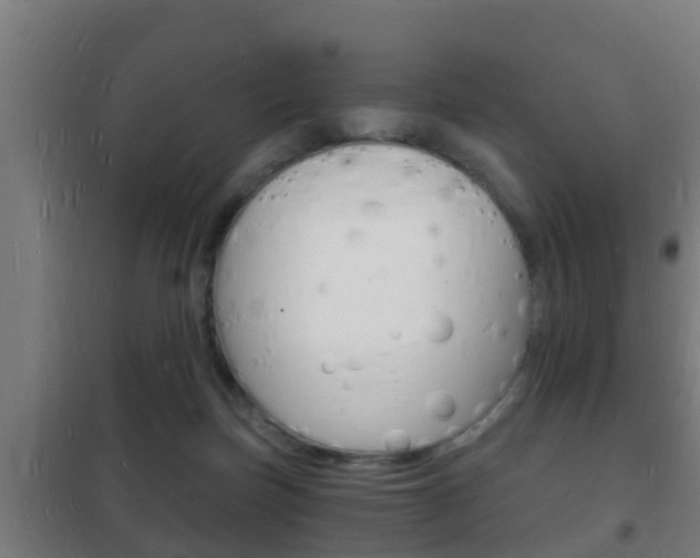 X0000102220171200807250754