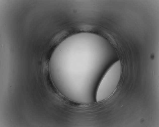 X0000102220172200807250754