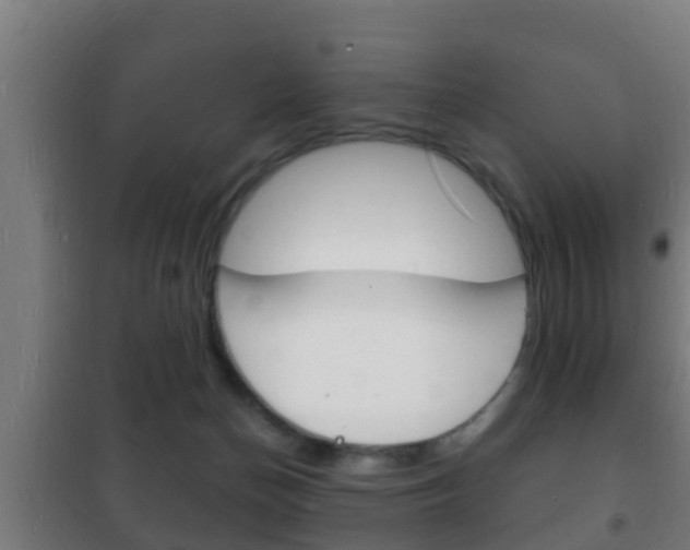 X0000102220174200807250754