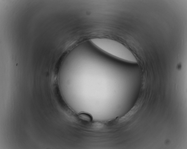X0000102220176200807250754