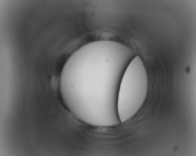 X0000102220177200807250754