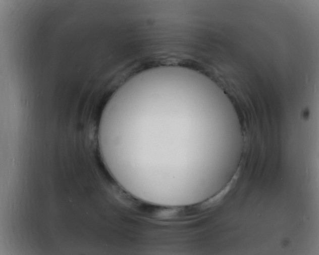 X0000102220178200807250754