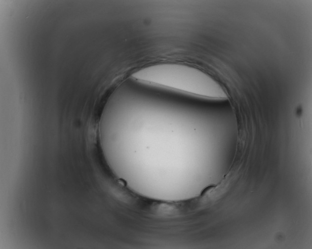 X0000102220180200807250754