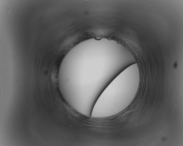 X0000102220181200807250754
