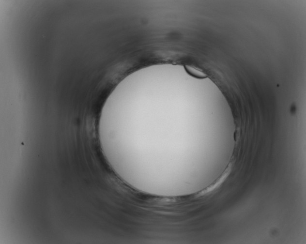 X0000102220182200807250754