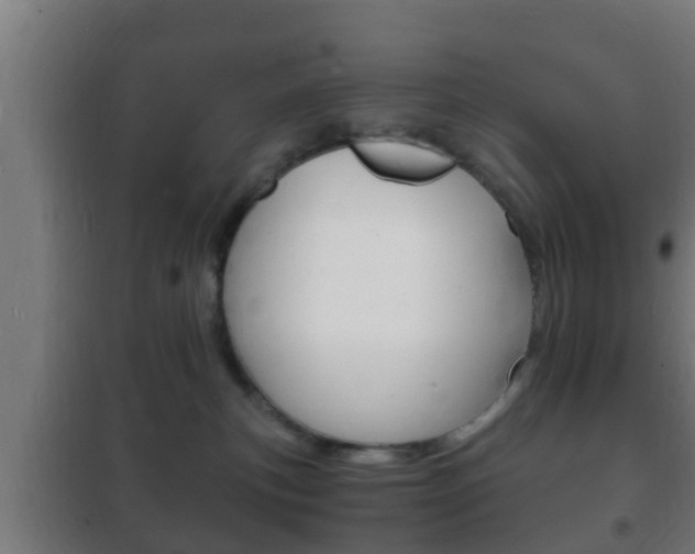 X0000102220183200807250754