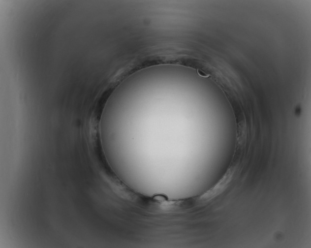 X0000102220184200807250754