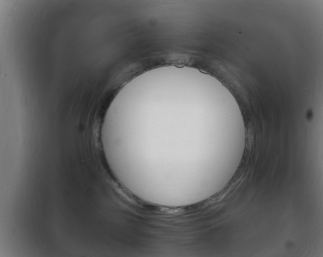 X0000102220185200807250754