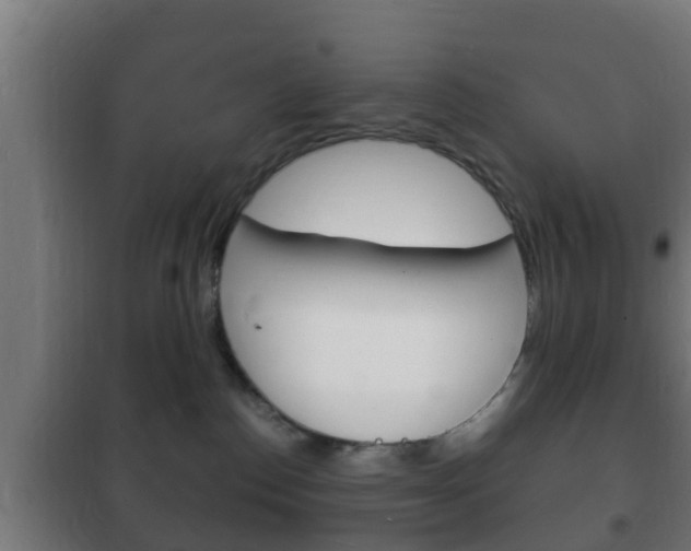 X0000102220186200807250754