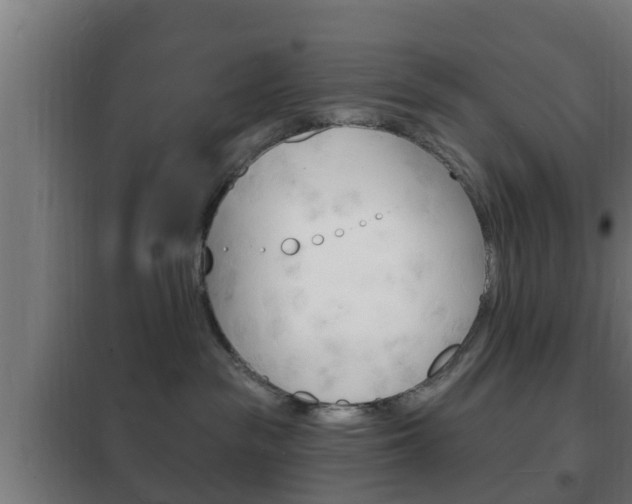 X0000102220189200807250754