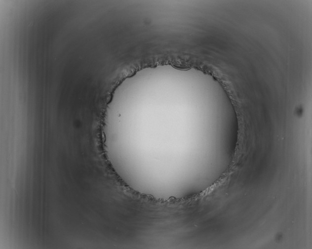 X0000102220192200807250754