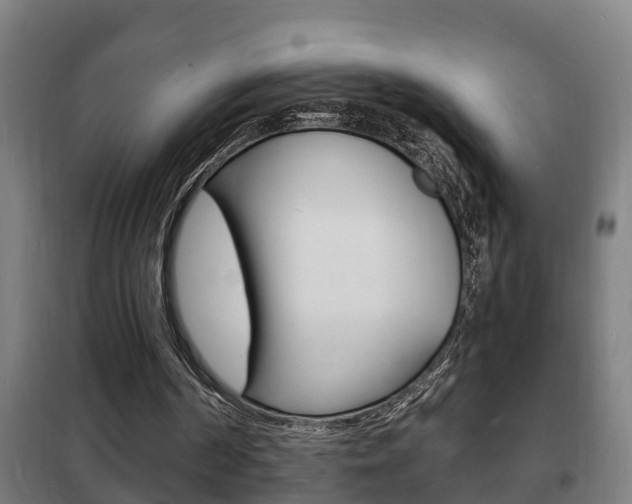 X0000102220194200807250754