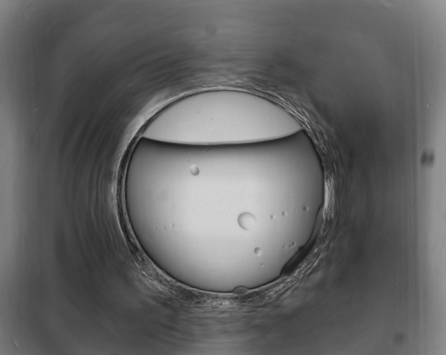 X0000102220195200807250754