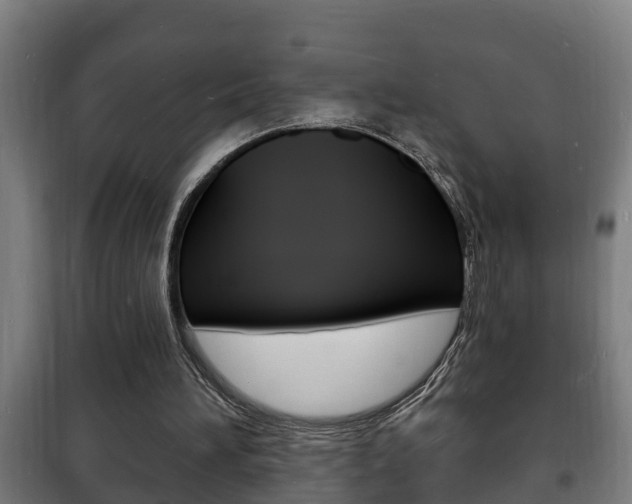 X0000102220196200807250754