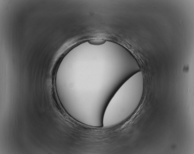 X0000102220198200807250753
