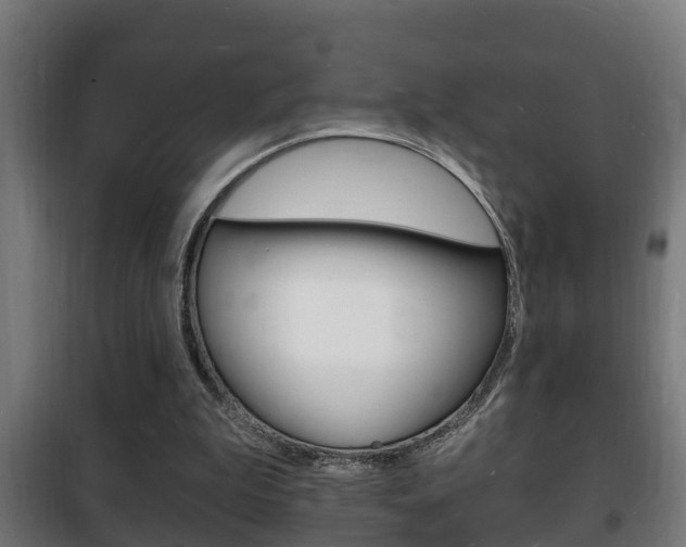 X0000102220199200807250753