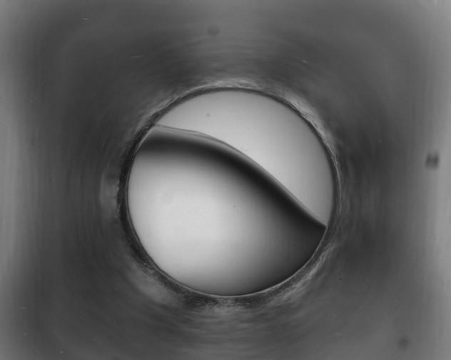 X0000102220201200807250753