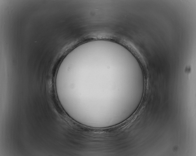 X0000102220202200807250753