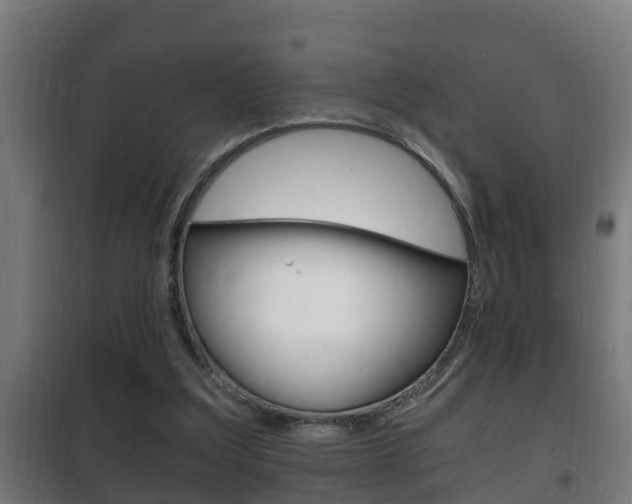 X0000102220203200807250753