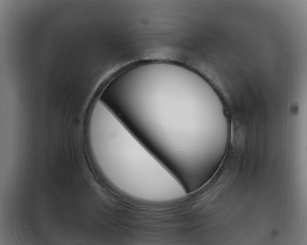 X0000102220204200807250753