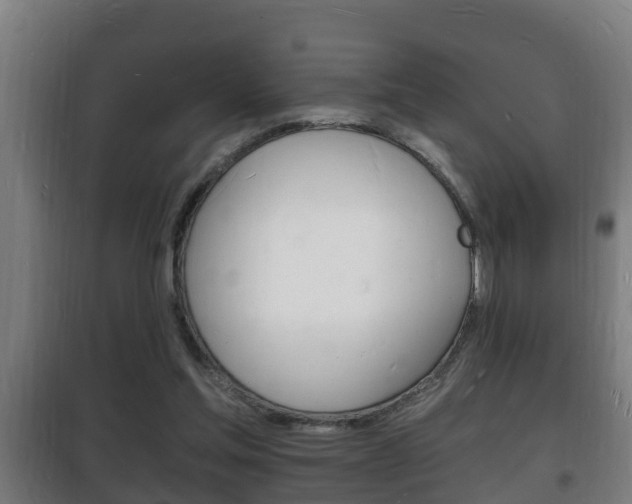 X0000102220205200807250753