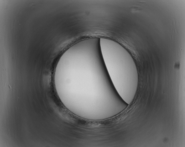 X0000102220206200807250753