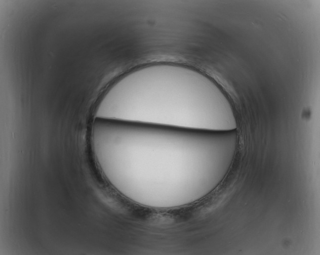 X0000102220207200807250753