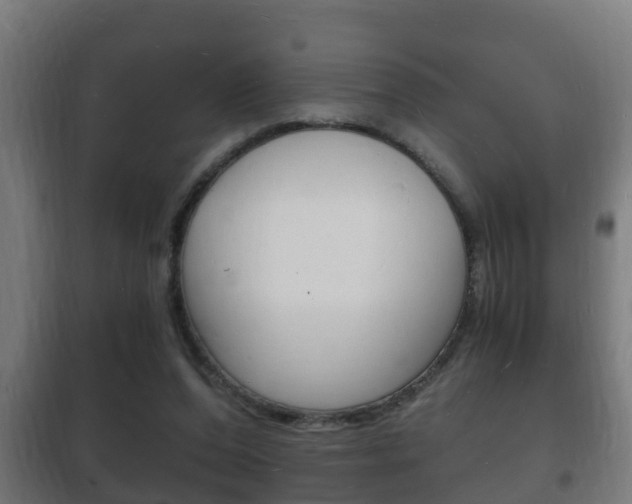X0000102220208200807250753