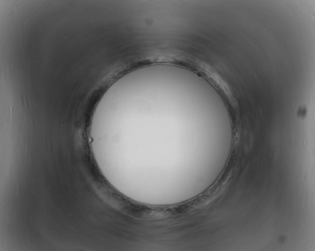 X0000102220209200807250753