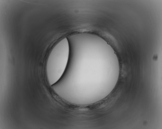 X0000102220210200807250753