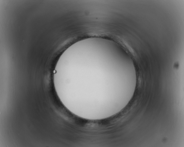 X0000102220211200807250753
