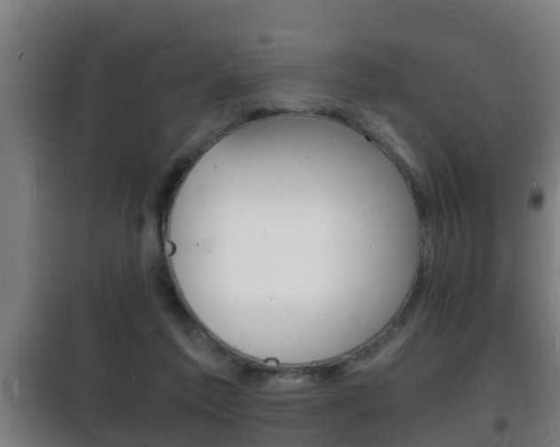 X0000102220213200807250753