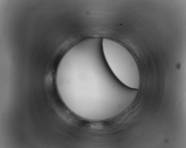 X0000102220214200807250753