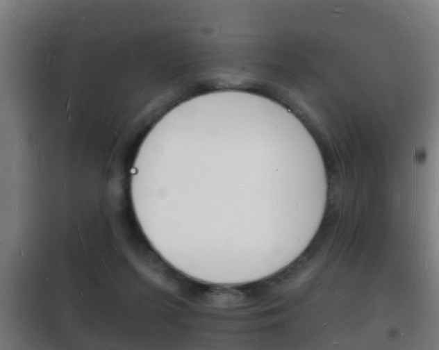 X0000102220215200807250753