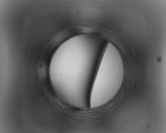 X0000102220216200807250753