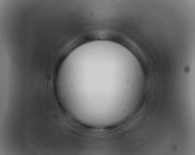 X0000102220217200807250753