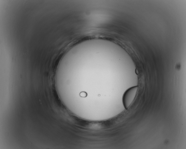 X0000102220218200807250753