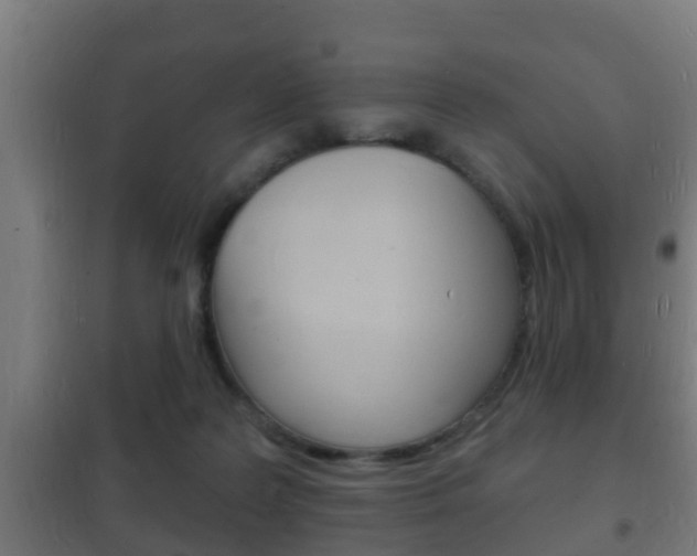 X0000102220219200807250753