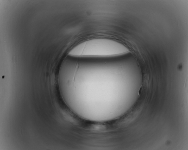 X0000102220220200807250753