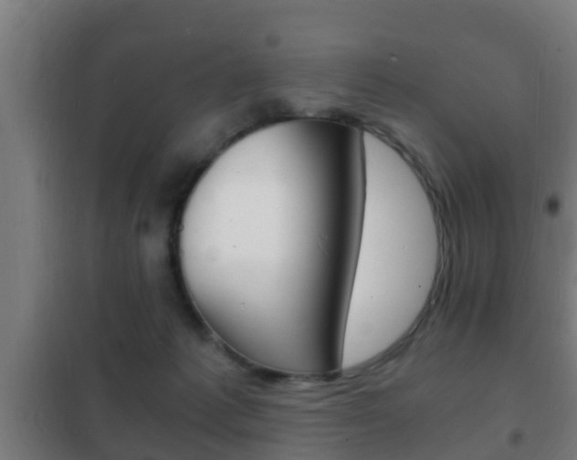 X0000102220221200807250753
